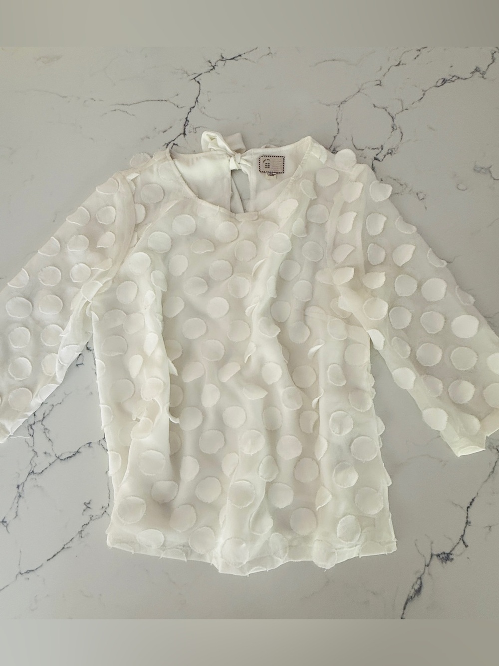 Anthropologie Ivory Polka Dot Sheer Blouse size 4
